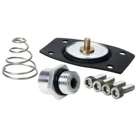 All99430 Allstar Performance Fuel Regulator Rebuild Kit - Diaphragm / Screws