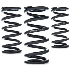 Ast-140-80-61 Ast Linear Race Springs - 140mm Length Fits X 80 N/mm Rate 61mm Id Single