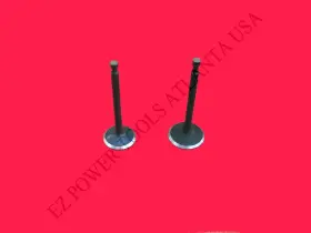 12121-000007 Ezp 12111-000005 Champion Cpe 389cc Gas Engine Generator Valve Set
