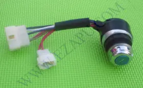 Apex7-gcs Ezp Ez-scm/apex7-gcs Sycamore Apex 7 7000e 6500 7500 Watt 13hp 15hp Gas Generator Ignition Key Switch