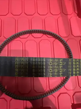 184986 Ferrari Part Timing Belt