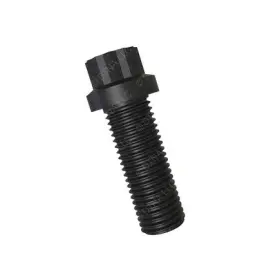 23-11398-175 Freightliner Screw Flange Twelve Point 5/8 11 For