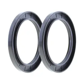 Generic / Unbranded 842915196931 Rotary Shaft Tc Oil Seal 80x110x10 Nbr Double Lip With Garter Spring Set Of 2
