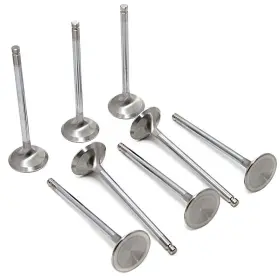 Gsc2033-8 Gsc Power Division For Honda B Series Vtec B16a/b17a/b18c Chrome Polished Exhaust Valve - 29mm