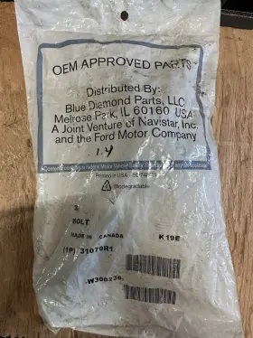 31079r1 International Bolt