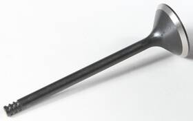 Kpmi 20-20555 For Black Diamond Exhaust Valve Xl 04 14