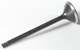 20-20555 Kpmi For Black Diamond Exhaust Valve Xl 04 14