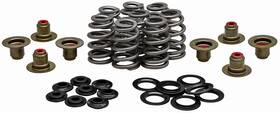 Kpmi 20-21850 Racing Valve Spring Kit .625 Lift For Harley Davidson 2017 Models
