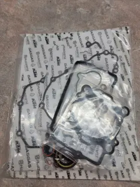 A46030099000 Ktm Oem Engine Seal Kit 250cc