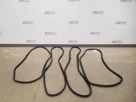 299.mb1815 Mercedes-benz 15 G63 Amg W463 Door Weatherstrip Set Pair Front And Rear