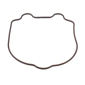 0452392 Polaris Cylinder Head Cover O-ring 5-2019 Phoenix Sawtooth