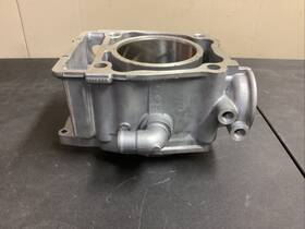 Polaris 3085369 Cylinder Nos