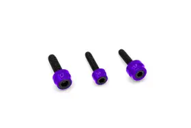 Sf10025b Santoro Fabworx Chachos Engine Bolt Kit Purple/black Harley Milwaukee Eight