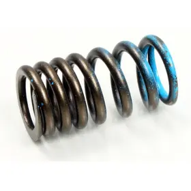 Xu-09529is Spi Sports Parts Inc Psychic Intake Valve Spring