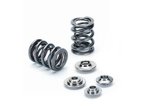 Supertech Sprk-fe20n54-be For Bmw N54 24v 3.0l Conical Spring Kit With Factory Valve Stem Seal