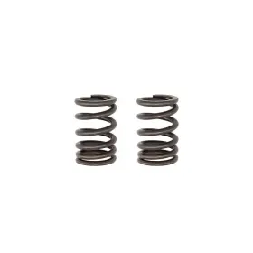 Tbw1926 Tbparts Kawasaki Klx140 Hd Upgraded Valve Spring Set - Tb Springs Engine Performance New