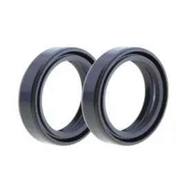 Terache 842915196665 Rotary Shaft Tc Oil Seal 30x40x7 Nbr Double Lip With Garter Spring Set Of 2