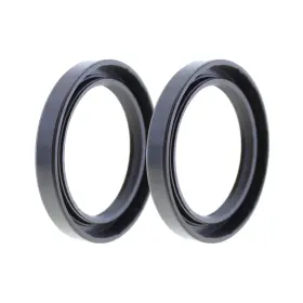 Terache 842915196856 Rotary Shaft Tc Oil Seal 55x75x10 Nbr Double Lip With Garter Spring Set Of 2