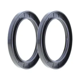 Terache 842915196924 Rotary Shaft Tc Oil Seal 80x110x10 Nbr Double Lip With Garter Spring Set Of 2