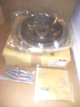 6gr-w8145-01 Yamaha Oem Rotor Assy With Bolts