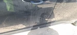 2022 Hyundai Kona Lh Left Driver Front Door Oem Used. Price: $1346.20.