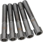 Drag Specialties MPB705S Bolts Socket-head/replacement Smooth/coarse Thr New. Price: $38.50.