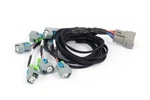 Haltech HT-186502 Nexus Rebel Ls EV6 Injector Sub-harness 8X Gm Ecu New. Price: $154.95.