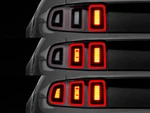 Raxiom 10-22 Ford Mustang Tail Light Sequencer (plug-and-play) 301042 New. Price: $70.80.