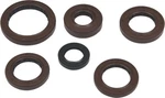 Quadboss Oil Seal Set New. Price: $43.72.