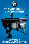Bmw Zf 6HP 8HP Tcu Egs Cloning Service Plug & Play Transmission Module Vin Cod Remanufactured. Price: $150.00.