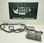 56048086AD 2.4 Engine Under Hood Fusebox Wiring Harness 03-04 Jeep Tj Wrangler Used. Price: $136.50.