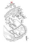 Audi A8 S8 Quattro Trim For Licence Plate Satin Black 4N0827113B9B9 No Duties New. Price: $107.47.