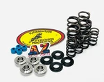 20-23 Kawasaki Kibblewhite Race Titanium Valves Springs Seals Kit New. Price: $189.98.