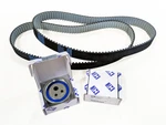 Ferrari Timing Kit Dayco Belts & Hill Tensioners 184986 PT360 Awitalian New. Price: $931.50.