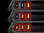 Raxiom 10-22 Ford Mustang Tail Light Sequencer (plug-and-play) New. Price: $64.62.