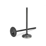 Supertech Intake Valve For Toyota 5VZFE Black Nitrided Set Of 12 New. Price: $387.86.