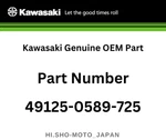 Kawasaki Genuine Oem Part 49125-0589-725 Shroud, Side, Rh, Titanium New. Price: $293.98.