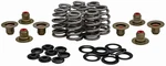 Kpmi 20-21850 Racing Valve Spring Kit .625 Lift H.t. Steel Retainer New. Price: $313.67.