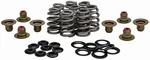 Kpmi Valve Spring Kit - Misc Components New. Price: $301.26.