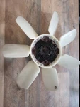 07 - 14 Toyota Tundra 5.7 Radiator Fan With Clutch Assembly Used. Price: $94.95.