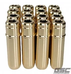 Gsc Power Division Fits 3133-16 Ford Coyote Gen Valve Guide Set New. Price: $120.05.