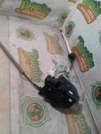 Cayenne 2016 Keys/latches/locks 2880391 Used. Price: $90.99.