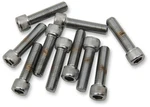 Drag Specialties 5/16-241 Smooth Allen (10) Cy-chrome MPB228S New. Price: $37.08.