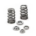 Supertech SPRK-FE20N54-BE-2 Conical Valve Spring Kit New. Price: $905.44.