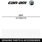 Brp 517303772 Right Hand Side Silver Wind Deflector Gtx Se 1200 4-TEC New. Price: $42.95.