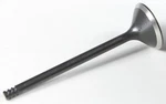 Kpmi 20-20555 Black Diamond Exhaust Valve Xl 04-14 New. Price: $62.21.