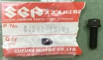 New Genuine Suzuki 01547-06165 Bolt Oil Fuel Pump Seat Tail Cover. Price: $14.94.