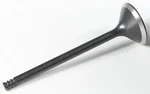 Kpmi 191-17025 20-20555 Black Diamond Exhaust Valve Xl 04-14 New. Price: $53.95.
