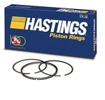Hastings Cast Piston Rings Set For 1970-80 Datsun/nissan 240Z 260Z L24 L26 Std New. Price: $73.00.