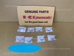 Kawasaki Ninja H2R 2015-2025 Bushing Con-rod Black Set X8PC 92139-0819 New. Price: $110.16.